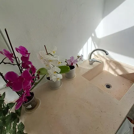 Domus Solis Salento Casa de Férias Campi Salentina