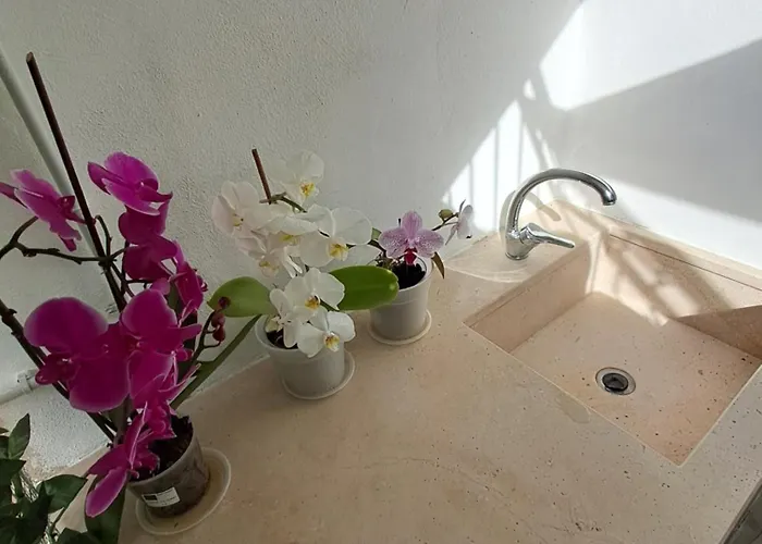 Domus Solis Salento Tatil Evi Campi Salentina